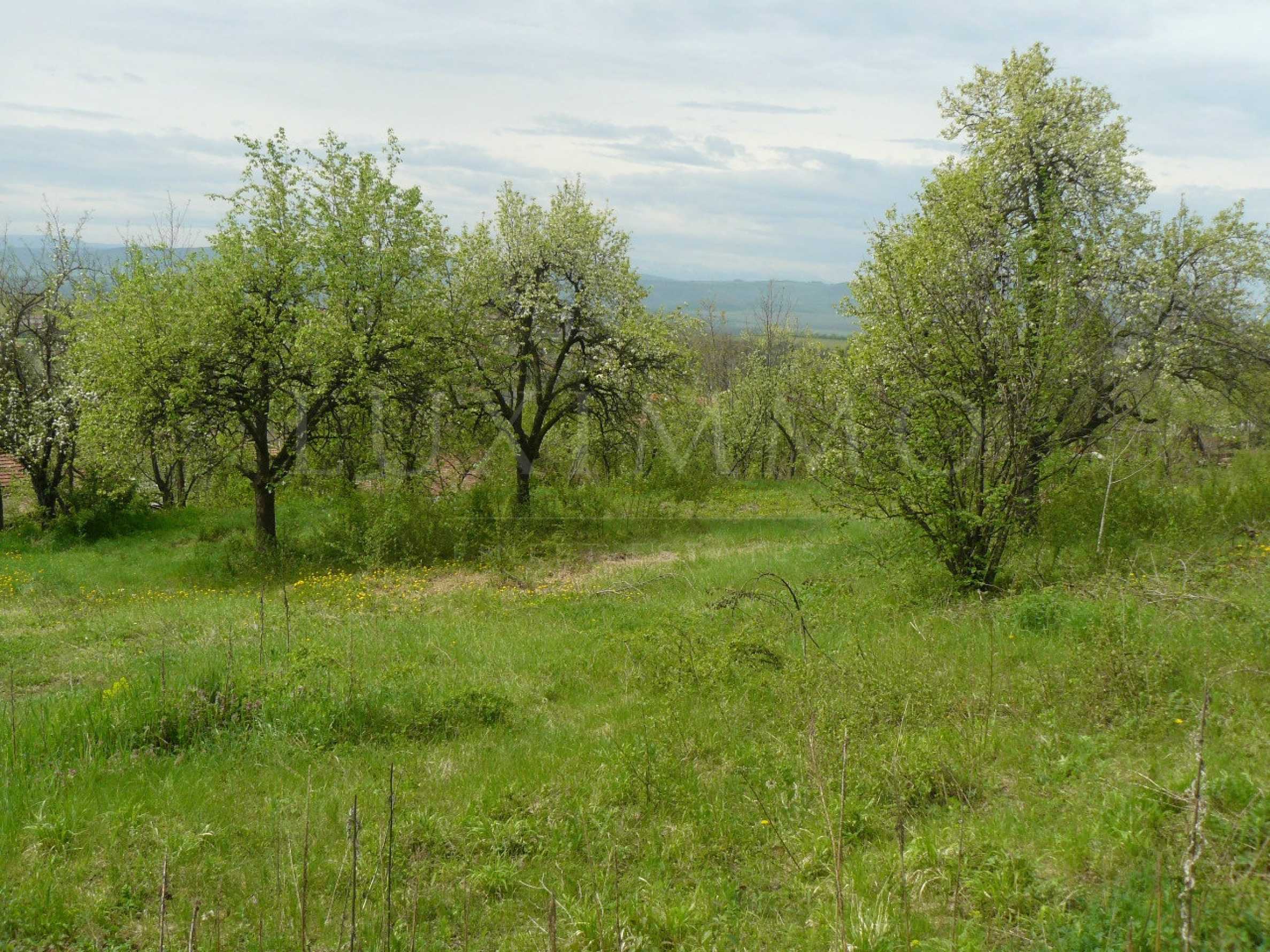 Ein reguliertes Grundst&uuml;ck in einem Dorf 3 km von Veliko Tarnovo entfernt